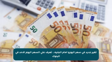 تغير جديد في سعر اليورو أمام الجنيه.. تعرف على السعر اليوم الأحد في البنوك